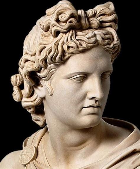 Apollo Belvedere Bust Apollo Statue Roman Statue Ancient Greek