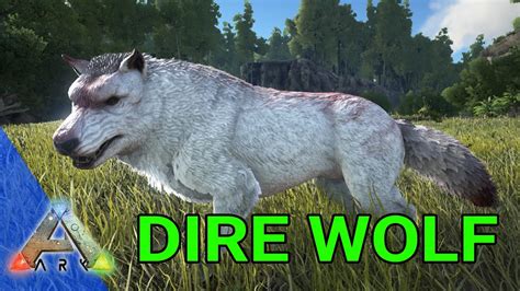 Ark Survival Evolved Easy Taming Dire Wolf Ps4 Pro Youtube