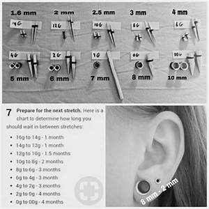 Ear Sizes Guide Piercingsearguide Types Of Ear