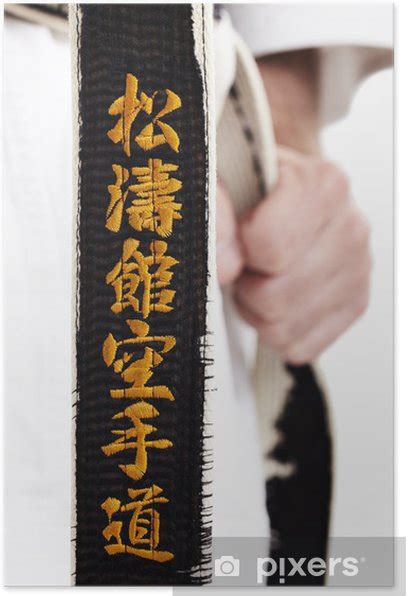 Poster Karate Shotokan Karate Do Pixersus
