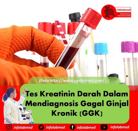 Tes Kreatinin Darah Dalam Mendiagnosis Gagal Ginjal Kronik GGK