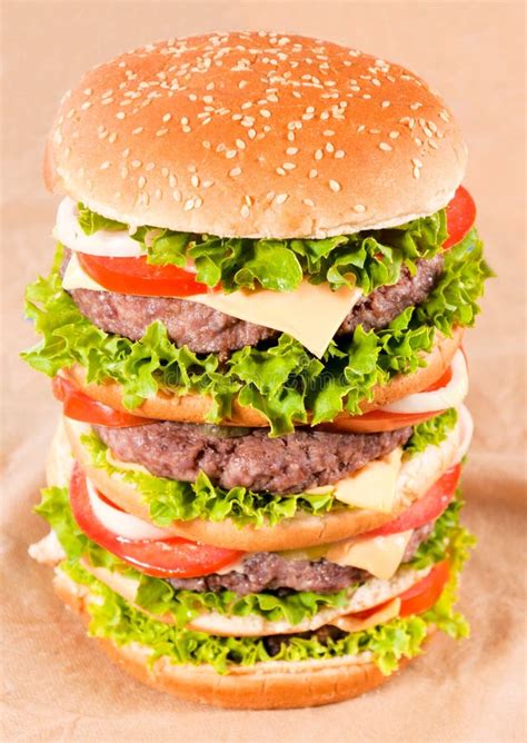 Huge Hamburger Stock Photo Image Of Huge International 30952696