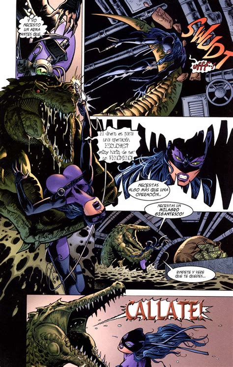 Catwoman Guardian Of Gotham Bearhug By Latds On Deviantart