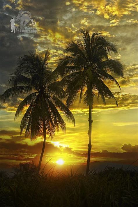 Tropical Sunset Amazing Sunsets Beautiful Sunset Nature Pictures