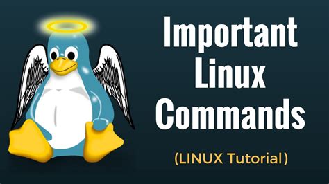 Important Linux Commands For Beginners Linux Tutorial Youtube