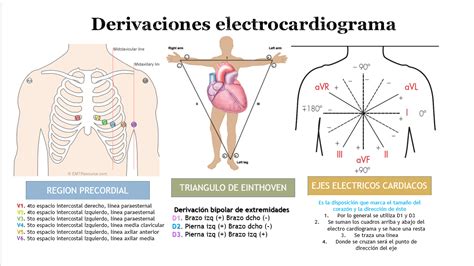 O Que São Derivações Do Ecg