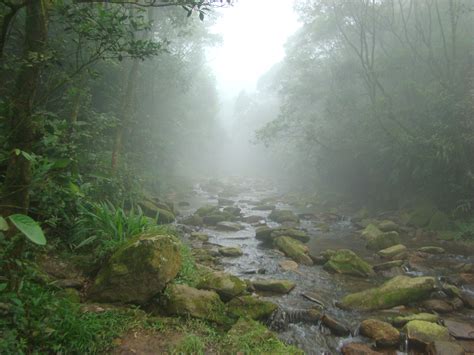 Clima Na Mata Atlantica