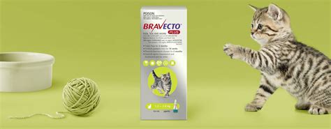Over recent years, many veterinarians have spoken of an increasing concern about heartworm awareness and the need for an emphasis on the use of preventative. NEW PRODUCT: Bravecto Plus for cats - Nicklin Way ...