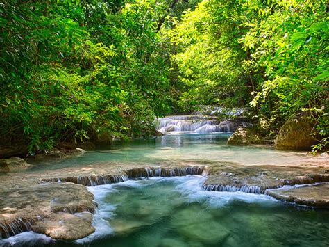 Beautiful Forest Stream Stepped Waterfalls Clearer Water