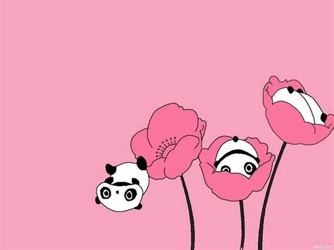 Besides to transfer and share file between windows phone devices, xender also allows to transfer file between wp and other platform devices, like android, ios as well. Kawaii Cute Panda Wallpapers - Top Free Kawaii Cute Panda Backgrounds - WallpaperAccess