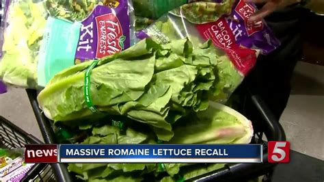Romaine Lettuce Recalled Amid E Coli Outbreak
