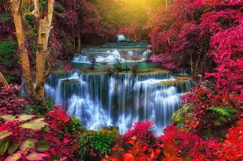 Exotic Waterfall View Colorful Forest Exotic Cascades Waterfall