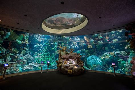 How One Of The Worlds Largest Aquariums Aims To Cut Energy Use By 50