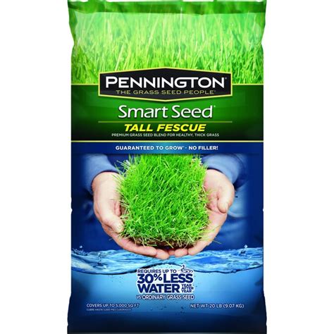 Pennington 20 Lb Tall Fescue Grass Seed In The Grass Seed Department At