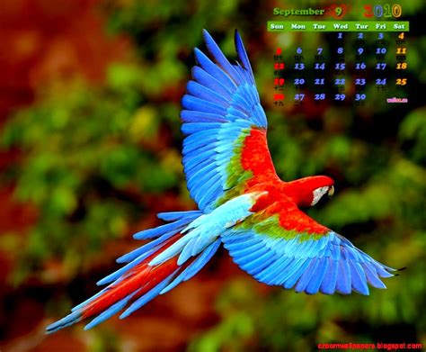 Desktop Wallpaper Hd Clock Calendar Free Download Zoom Wallpapers
