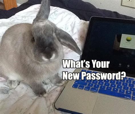 Created a year ago from. Rabbit Ramblings: Bunny Monday Meme*Day (Password)