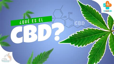 Qué es el CBD CANNABIDIOL Daniel Zapata Tu Salud Guía YouTube