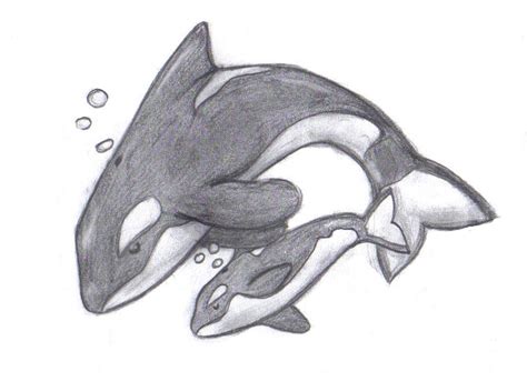 Registration is available only to residents of oak creek village during the month of march for the summer season which runs from. Orcas by Smallfry123 on DeviantArt