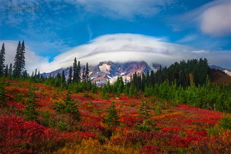 Photographing Fall Foliage In Mount Rainier National Park