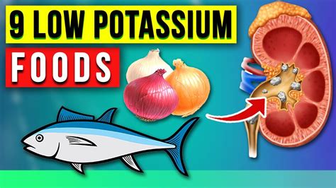 Revealing 9 Low Potassium Foods That Can Change Your Life Forever Youtube