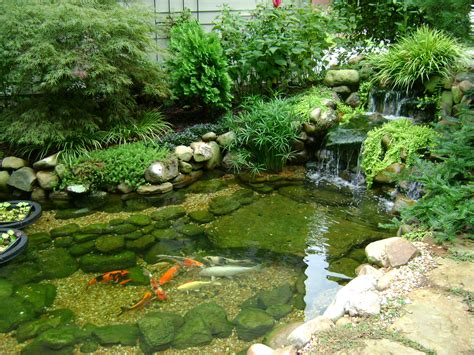 Koi Ponds Don’t Need to Look Like Black Liner Pools | Garden pond