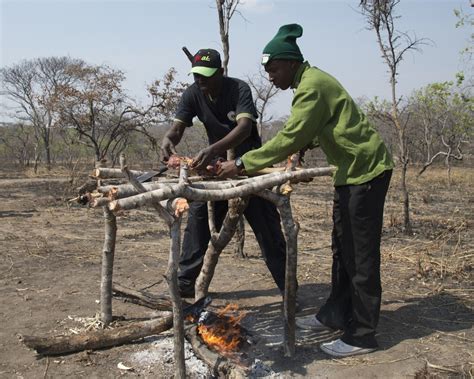 Tanzania Rangers Showcase Anti Poaching Skills Article The United