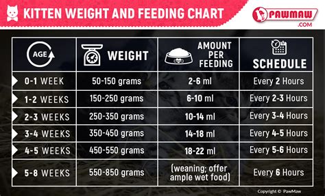 How Much To Feed A 13 Week Old Puppy Clearance, Save 54% | idiomas.to