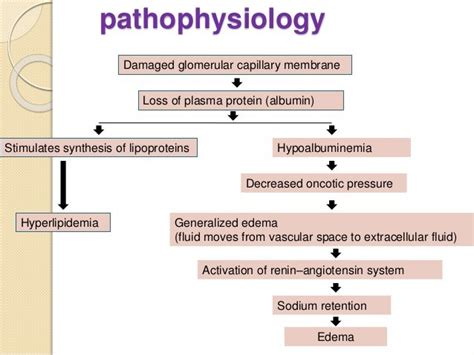 Nephrotic Syndrome Signs And Symptoms Management Nursing Care