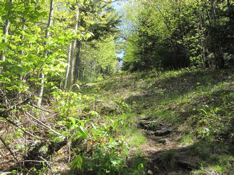 Outdoor Diversion North And South Doublehead