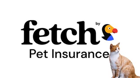 Top 10 Best Pet Insurance Companies In The Usa