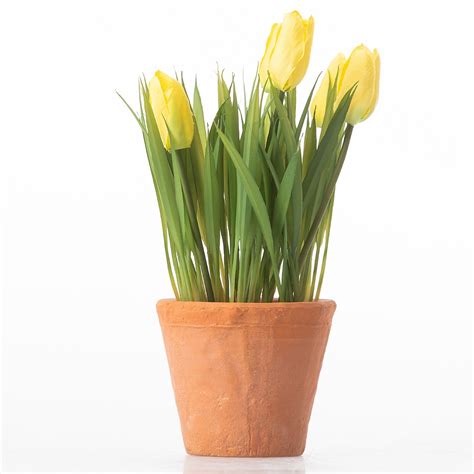 Artificial Plants Everlasting Potted Yellow Tulip