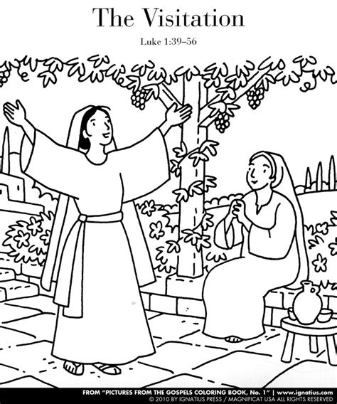 Two sets of coloring pages depicting the biblical creation story. A coloring page from the book, "Pictures from the Gospels ...