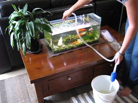 Maybe you would like to learn more about one of these? Grizley Aquarium Gravel Cleaner Syphon - YouTube
