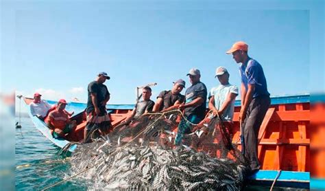 Matarani Denuncian Que Pesca Ilegal Genera Depredación Del Recurso