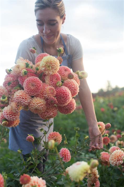 Erin and her team have influenced both flower farming and floral design by bringing this week, scott and erin discuss the beginning of floret, flower farming, their seed business, and her new book 'a year in flowers.' A Year in Flowers: New book by Erin Benzakein - Cloverhome