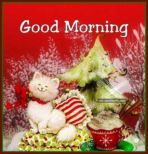 Check spelling or type a new query. Good Morning Christmas Cat Image Quote Pictures, Photos ...