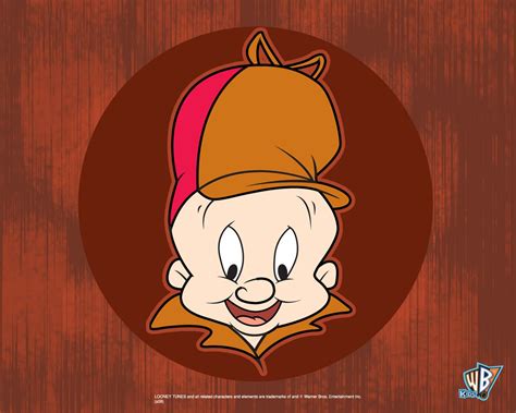 Bugs Bunny And Daffy Duck Vs Elmer Fudd Wallpaper Elmer Fudd Looney