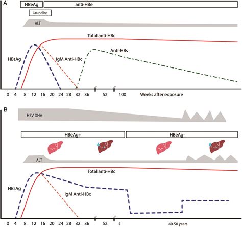 Strategies to Prevent Mother-to-child Transmission of Hepatitis B Virus