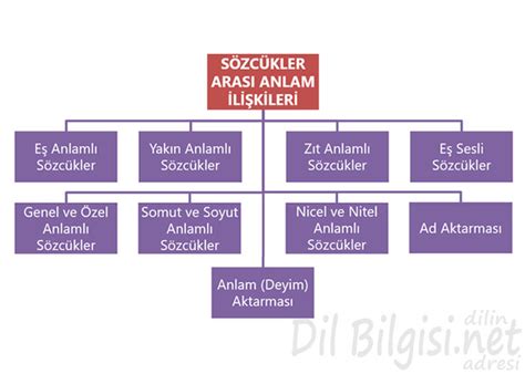 Sözcükler Arası Anlam İlişkileri Konu Anlatımı | Dil Bilgisi.net