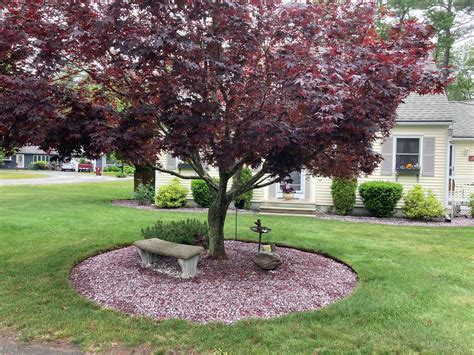 Red Maple Landscaping Kingston Ma