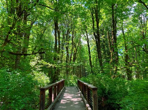 The Best Hikes in Issaquah - Ordinary Adventures