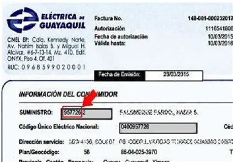 Consultar Planilla De Luz Cnel Y Pago En L Nea