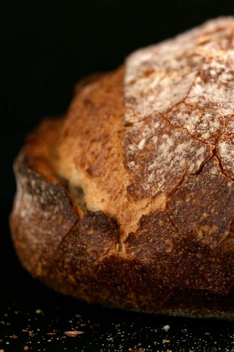 Simple Crusty Bread Recipe Recipe Recipes Best Bread Recipe Bread
