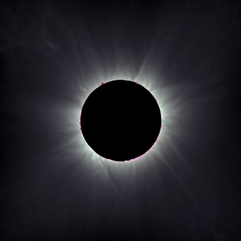 Solar Eclipse Corona Alson Wong Sky And Telescope Sky And Telescope