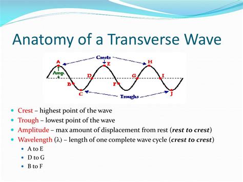 Transverse