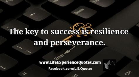 The Key To Success Is Resilience And Perseverance Life Experience