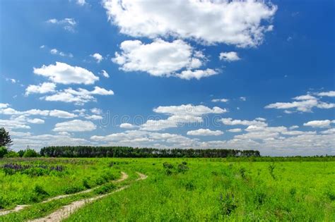 Beautiful Summer Landscape With Green Grass And Blue Sky With White