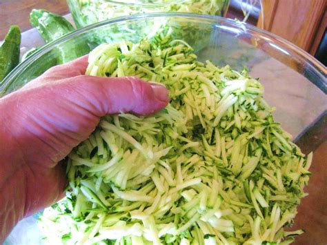 How to prepare shredded zucchini for the freezer. How I Freeze Zucchini - Kevin Lee Jacobs | Freezing ...