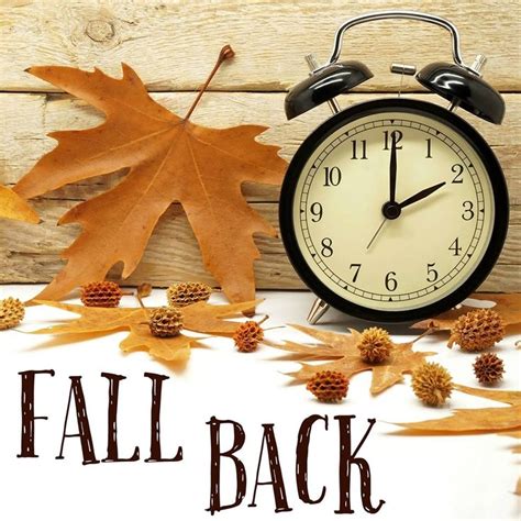 Fall Back Daylight Savings Fall Back Daylight Savings Time Fall