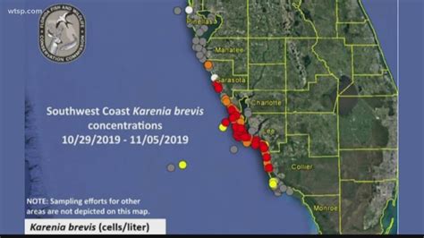 High Levels Of Red Tide Reported In Sarasota County